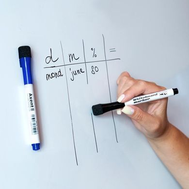 Набор маркеров для доски Whiteboard с магнитным держателем и губкой на колпачке 1-2 мм3 цвета 2555 (120423) фото