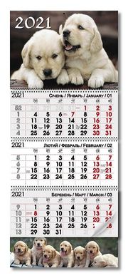 Календарь настенный квартальный на 3 пружины 20 21 год ЛАБРАДОР (122455B) фото