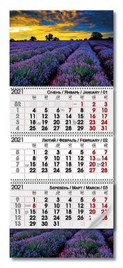 Календарь настенный квартальный на 3 пружины 2021 г ЛАВАНДОВЫЙ РАЙ (122455c) фото