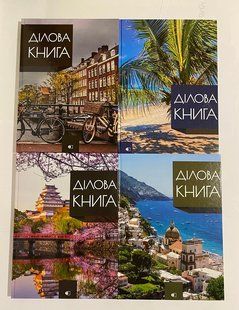 Діловая книга А4 192 листа обл.твердая "Business book",клеточка. ДК-192-А4 (0113161) фото