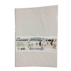 Картон белоснежный, набор 10 лист , А4, в п/п пакете КА4010Е (131301) фото