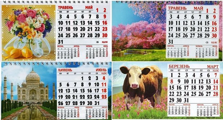 Календарь настольный домик на 2021 год с блоком (122250g) фото