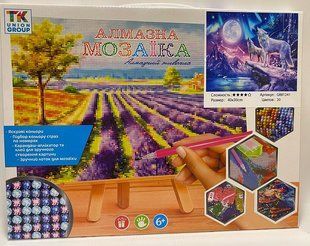 Алмазная мозаика 30х40см в коробке GВ81241 Волки и месяц (2341013) фото