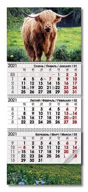 Календарь настенный квартальный на 3 пружины 2021 год БЫК ПОЛЕВОЙ (122455о) фото
