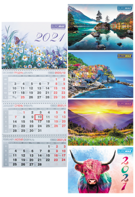 Календар настінний квартальний на 3 пружини 2021р мікс, BM.2105 (900048) фото