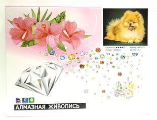 Алмазная мозаика 30х40см в коробке GМ71212 Немецкий шпиц (234145) фото