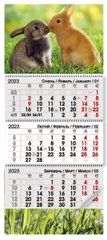 Квартальный календарь на 3 пружины 2023 год Символ года пара (12208) фото