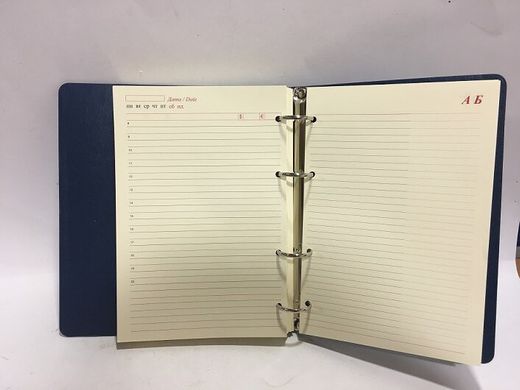 Ежедневник недатированный на кольцах А5 160 листов Рельефный 1838-A5NL линия, синий (1838-A5NL) фото
