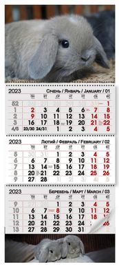 Квартальный календарь на 3 пружины 2023 год Символ года -серебро (12172) фото