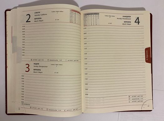 Ежедневник датированный А5 2024 год 176 листов Sarif. 3В-71 ,красно-коричневый линия (011620чер-кор) фото