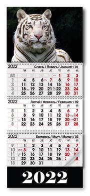 Квартальный календарь на 3 пружины 2022 год "Белый Тигр" (011815) фото