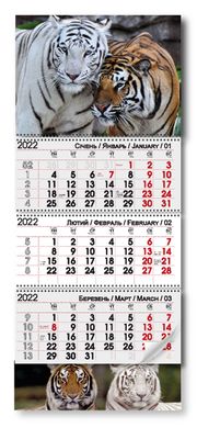 Квартальний календар на 3 пружини 2022 р "Пара тигрів" (011816) фото