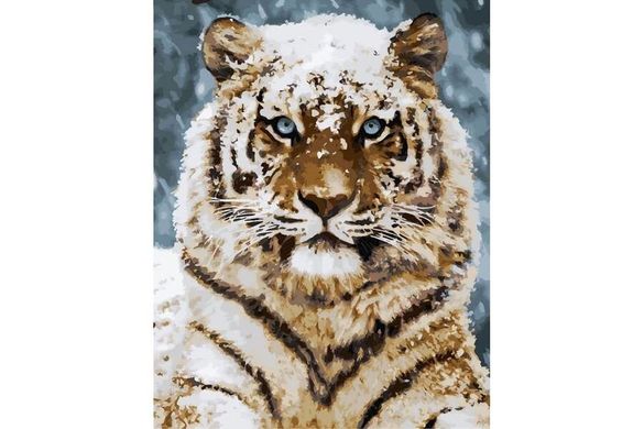 Картина за номерами 40х50 KHO4140 Уссурийский тигр (13219705) фото