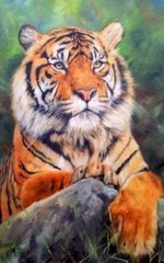 Картина по номерам 20х30 см RAS2012 Tiger (2012) фото