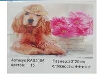 Картина по номерам 20х30 см RAS2196 Dog (234002) фото