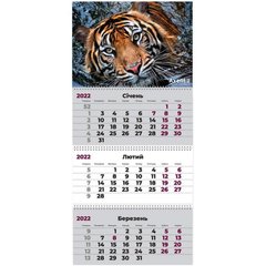 Календар настінний квартальний 2022 р на 3 пружинах ТИГР (8803-02) фото