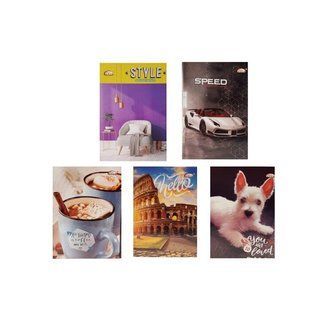 Книга учета А5, 96 листов, твердая обложка, офсет, клетка, ТВ-55 (011321) фото