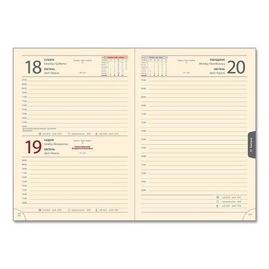 Ежедневник датированный 2022 А5 176 листа SARIF ЗВ-71 крем блок бордо линия (902020) фото