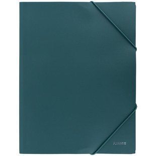 Папка на резинках А4 Earth colors 1504-13-A_x000D_ цвет зеленый AXENT (1504-13-A) фото