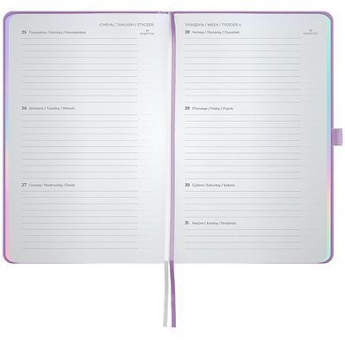 Щотижневик датований 2027 рік 125х195 мм Partner Daily Shine,Kee Axent 8532-27-1 (0116901) фото