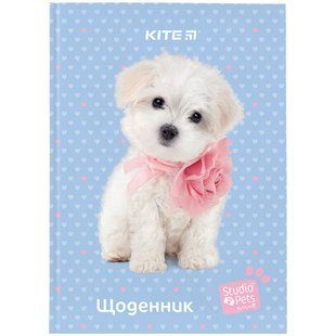 Дневник школьный твердая обложка SP24-262-3 KITE (SP24-262-3) фото
