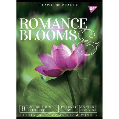 Книга обліку А4 48арк скоба Romance blooms (681934) фото