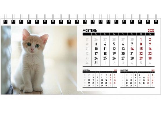 Календар настільний шалаш на 2022 р Кошеня (011886) фото