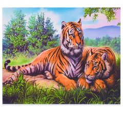 Картина по номерам 30х40 см EKTL1673 Тигры (1673) фото