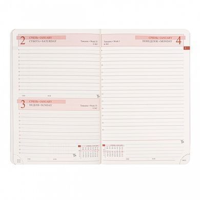 Ежедневник датированный 2027год А5 интегральный 368 страниц Leo Planner Velvet черный 25722 (202793) фото