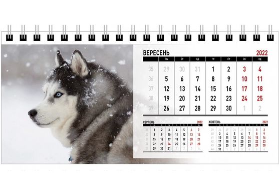 Календарь настольный шалаш на 2022 г. Собачки (011887) фото