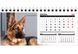 Календарь настольный шалаш на 2022 г. Собачки (011887) фото 1