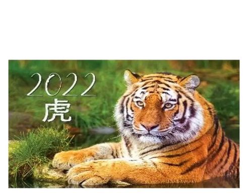 Календар настінний квартальний на 3 пружини 2022 р Тигр з ієрогліфом (011809) фото