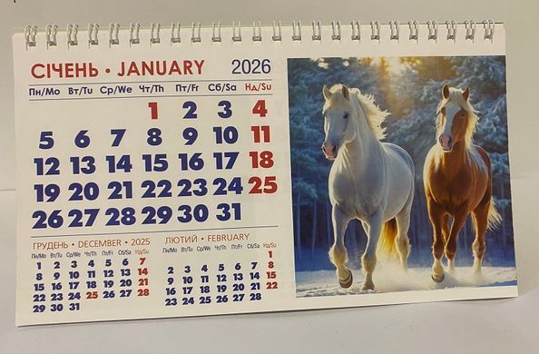 Календар настільний будиночок на 2026 рік 21х12,5см Символ року Долар (0118018) фото