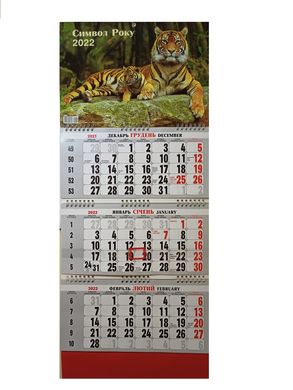 Календар настінний квартальний на 3 пружини 2022 р СИМВОЛ РОКУ №05 (011812) фото