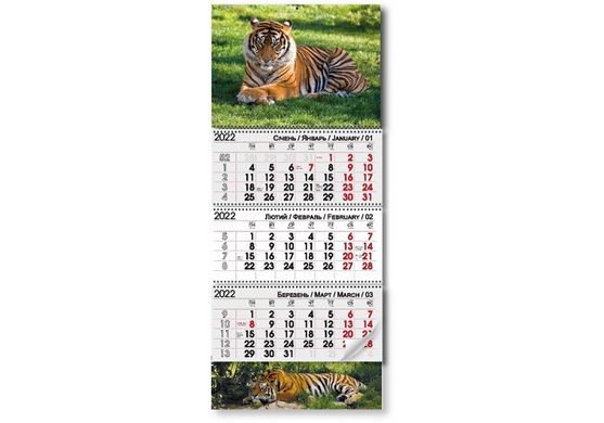 Квартальний календар на 3 пружини 2022 р Тигр на відпочинку (011818) фото