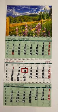 Квартальный календарь на 3 пружины 2024 год Люпины класическая сетка (01186022) фото