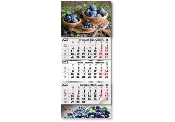 Квартальний календар на 3 пружини 2022 р Ягоди (011819) фото