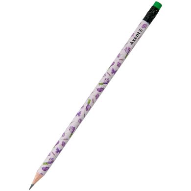 Олівець графітний Lavender НВ 9009-12 AXENT (9009-12) фото