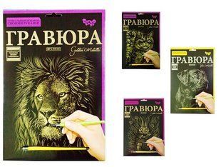 Гравюра А4, Danko Toys (132189) фото