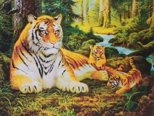 Картина по номерам 30х40 см EKTL0068 Тигри в лісі (0068) фото