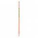 Карандаш чернографитный с резинкой треугольный НВ Eco pencil Erudite Yes 280622 (0330704) фото 1
