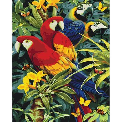Картина за номерами 40х50 KHO4028 Різнокольорові папужки (13219709) фото