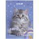Дневник школьный твердая обложка Rachael Hale R25-262 KITE (71191) фото 1