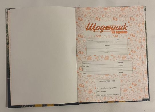 Дневник школьный твердый 48 листов 162х225мм УВ-25Т Драйв 72045 GOLD BRISK (133035) фото